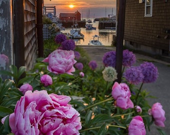 Motif #1 flower sunrise Rockport, MA. fine art, metal, acrylic for home and office