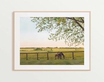 Fine Art Print of Original Oil Painting, Kentucky Horse Farm Landscape, Equestrian, Equine Paradise, Stephanie Hilen