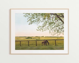 Stampa artistica di una fattoria di cavalli del Kentucky / Dipinto a olio di un paesaggio equino / Decorazione artistica per la casa