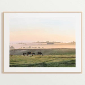 Fine Art Print of Original Oil Painting, Kentucky Horse Farm Landscape, Equine, Equestrian, God&#39;s Country, Stephanie Hilen