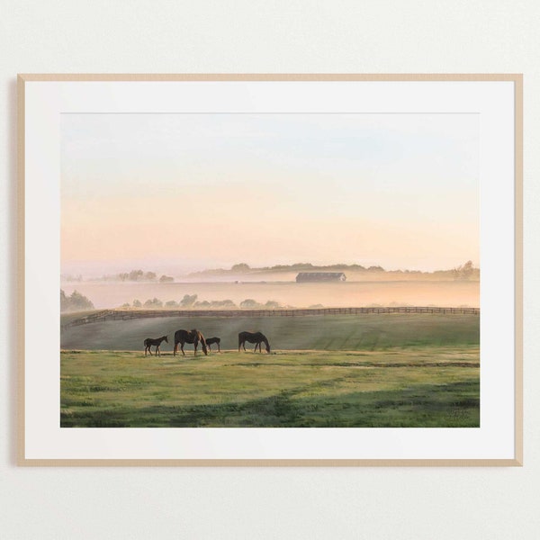 Fine Art Print of Original Oil Painting, Kentucky Horse Farm Landscape, Equine, Equestrian, God's Country, Stephanie Hilen