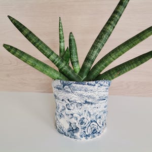 Peut inclure: Une plante serpent en pot avec de longues feuilles vertes dans un pot en céramique blanc avec un motif floral bleu.