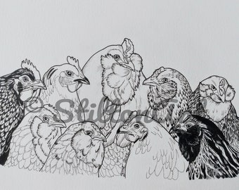 Chicken Flock Portrait Coloring Page, Downloadable