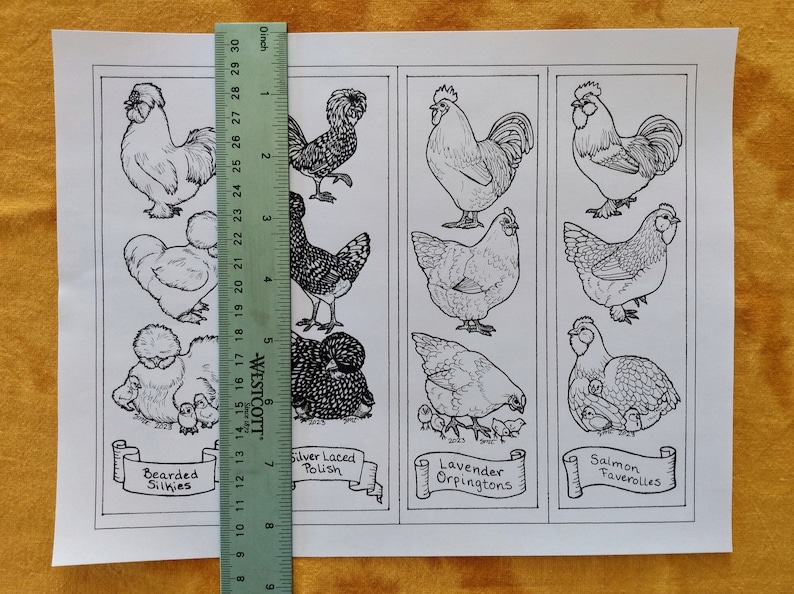 Downloadable Chicken Bookmarks to Color, 4 Different Breeds silkies ...