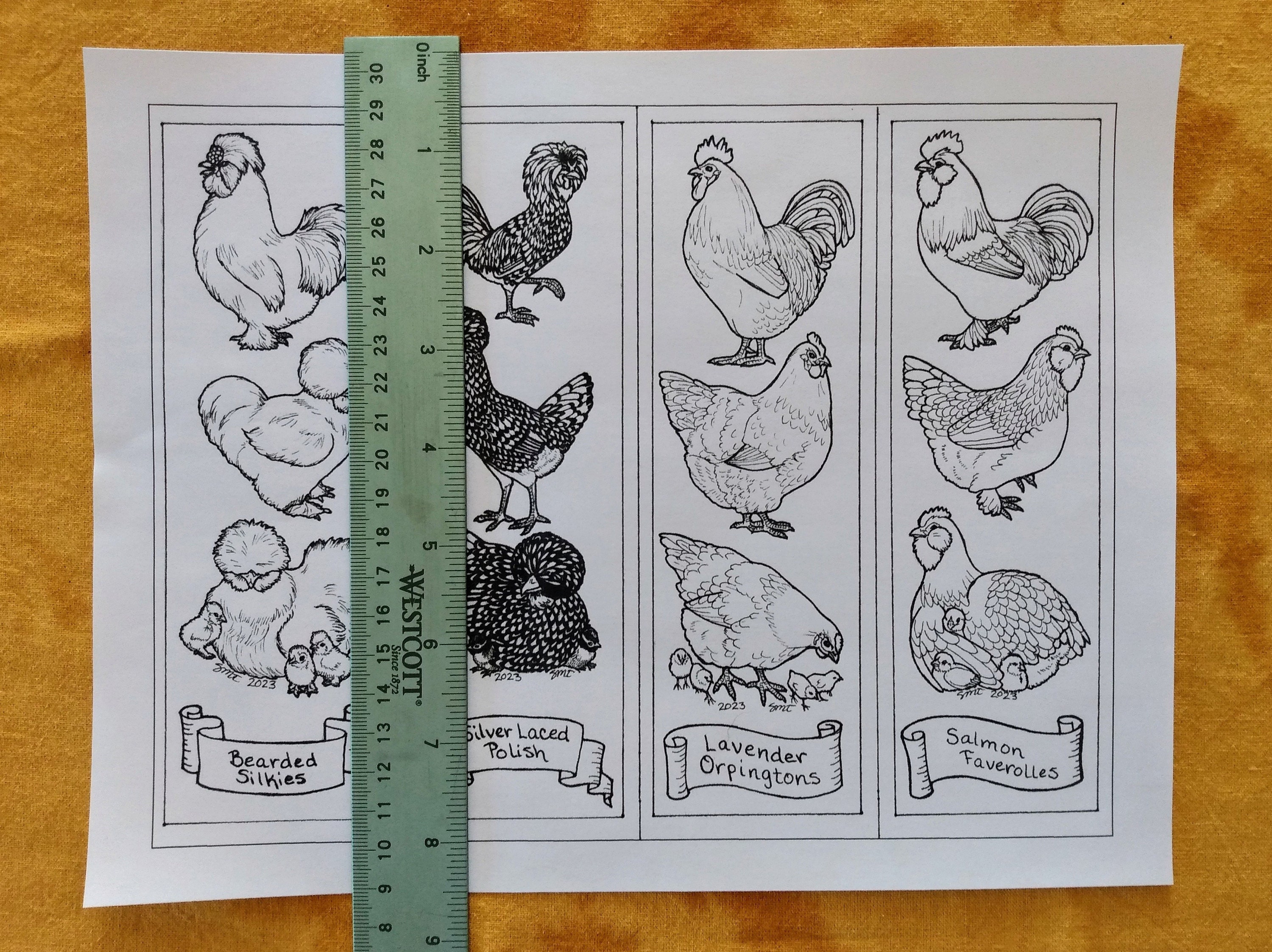 Downloadable Chicken Bookmarks to Color, 4 Different Breeds silkies ...