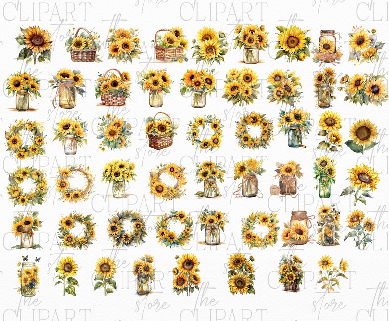 Watercolor Sunflowers Clipart Fall Sunflower Floral Bouquets PNG ...