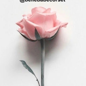 May include: A single pink rose with a green stem and leaf on a white background. The text "FOLLOW US ON Instagram @bellebabecorset" is above the rose.