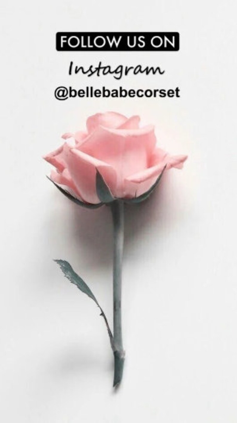 May include: A single pink rose with a green stem and leaf on a white background. The text "FOLLOW US ON Instagram @bellebabecorset" is above the rose.