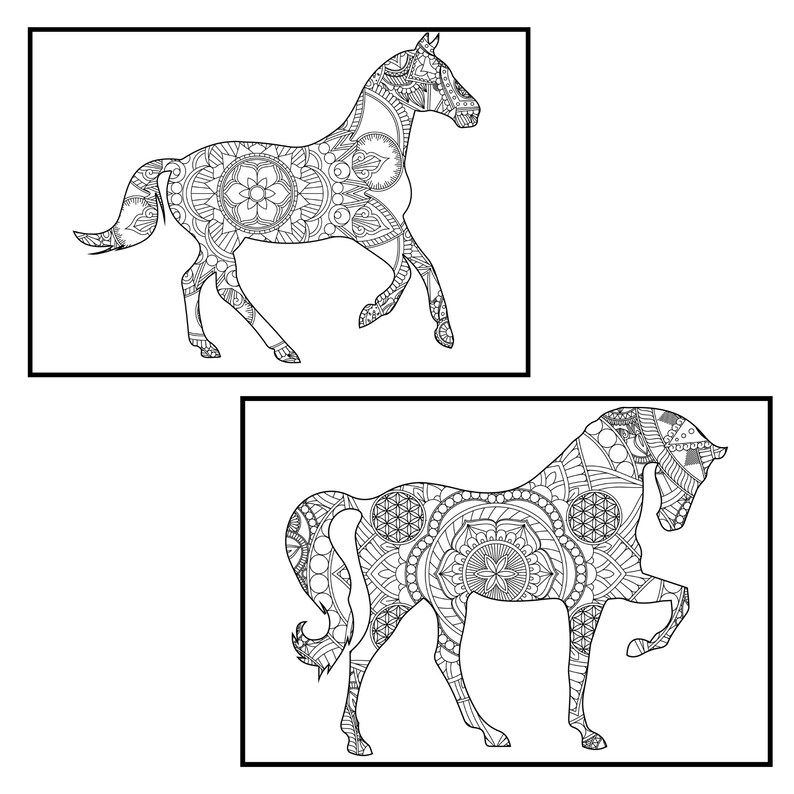 Download Horse Mandala Coloring Pages for Adults Instant PDF | Etsy