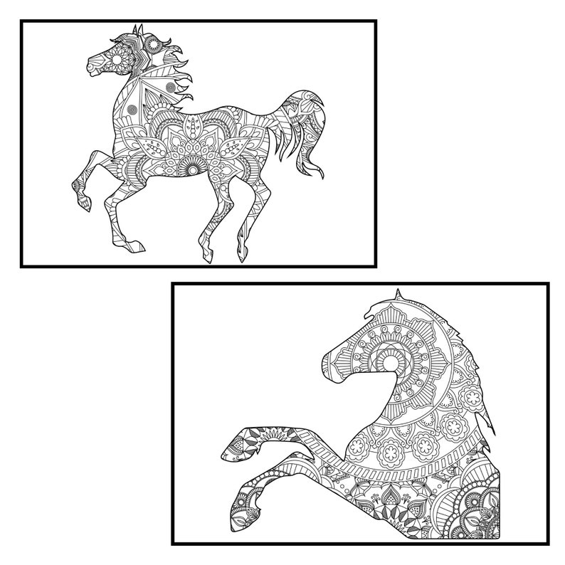Download Horse Mandala Coloring Pages for Adults PROCREATE Version ...