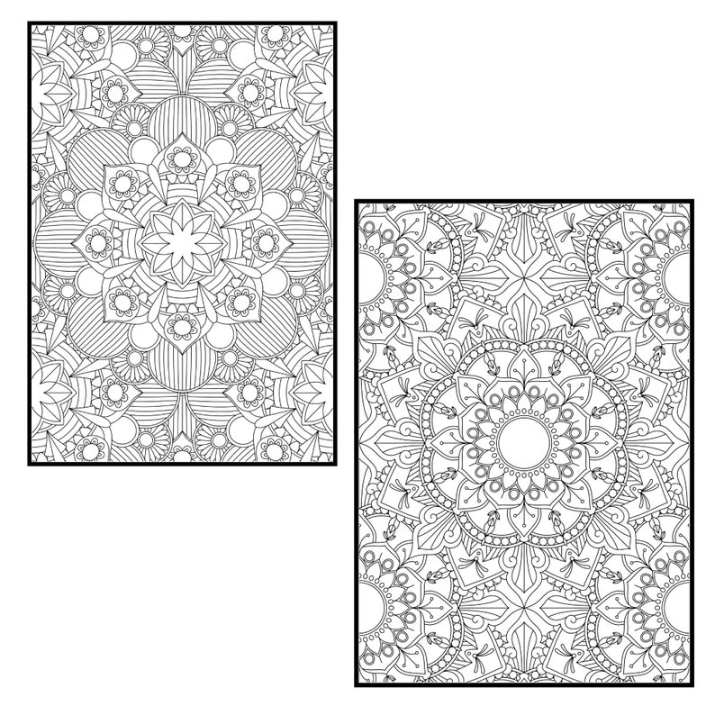 Download Mandala Coloring Pages for Adults Vol 6. PROCREATE Version ...