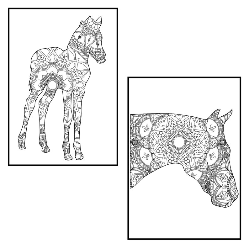Download Horse Mandala Coloring Pages for Adults Instant PDF | Etsy