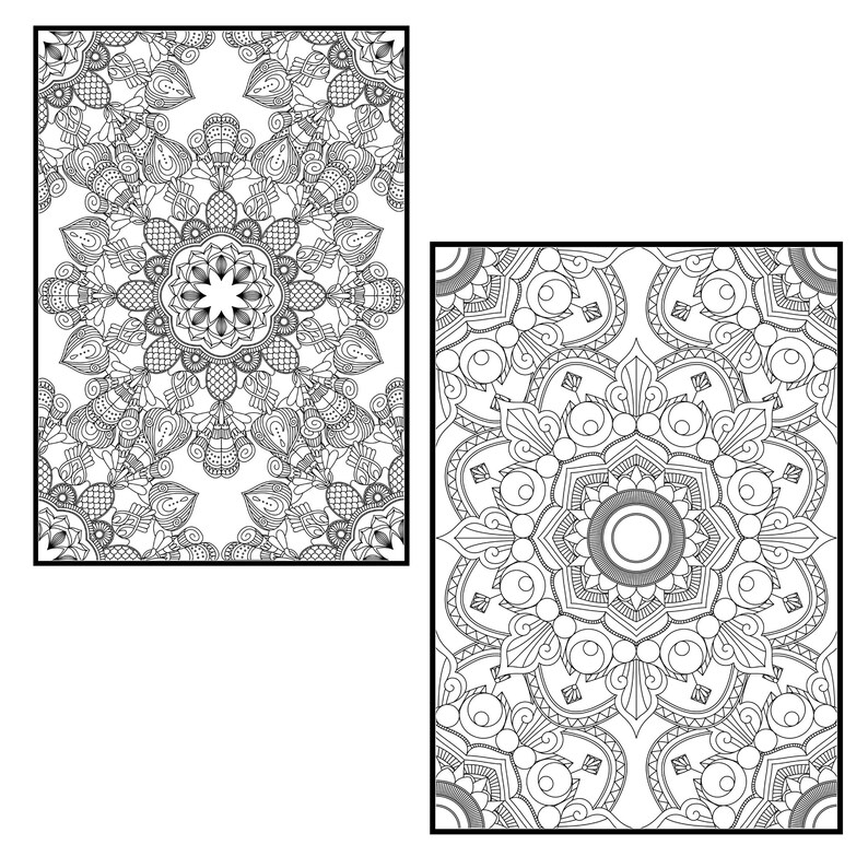 Download Mandala Coloring Pages for Adults Vol 5. PROCREATE Version | Etsy