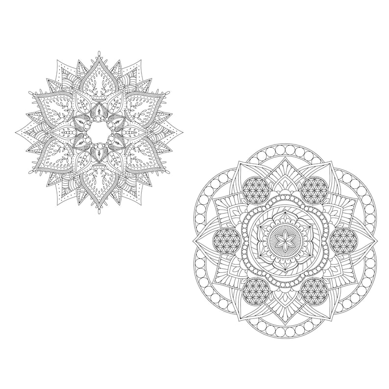 Download Single Mandala Coloring Pages for Adults Vol 1 PROCREATE ...