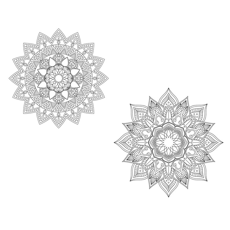 Download Single Mandala Coloring Pages for Adults Vol 6 PROCREATE | Etsy