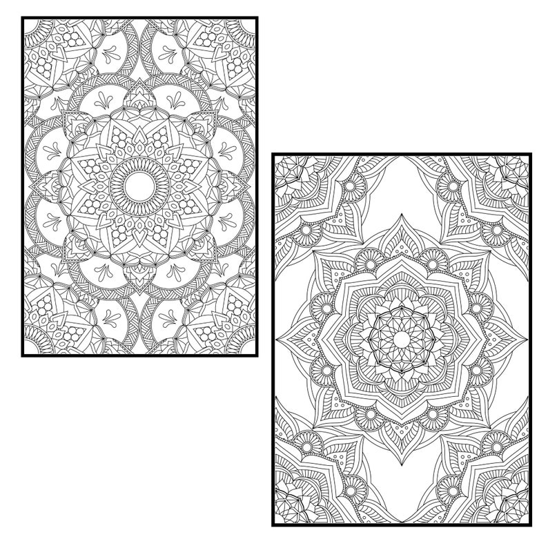 Download Mandala Coloring Pages for Adults Vol. 2 PROCREATE Version ...