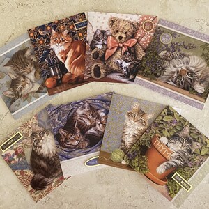 Conjunto de cartões de visita Picture Purrfect nº 1