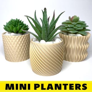 Set of 3 Modern 3D Printed Planters: Small Succulent Pots