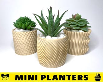 May include: Three small, beige, textured ceramic planters with different patterns. Each planter holds a small, green succulent plant.
