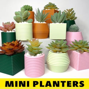 May include: A collection of small, colorful planters with various succulents. The planters are made of a textured material and have a variety of colors, including green, pink, orange, and white. The succulents are all in different shapes and sizes, and they are all arranged in a pleasing way. The planters are labeled "MINI PLANTERS".