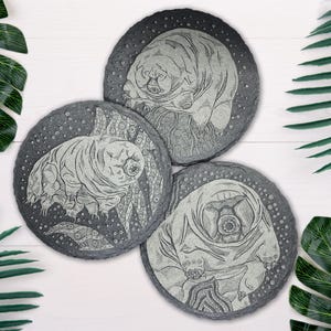Sottobicchiere in ardesia tardigrada inciso al laser: Science Home Decor