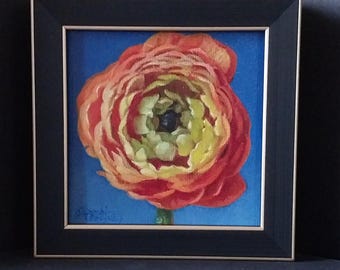 Ranunculus Full Bloom mini oil painting in black frame, original by Judith Mroski Gonzalez