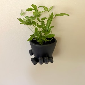 Wall Hanging Hand Planter