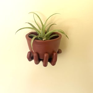 May include: A terracotta hand-shaped planter holds a small green air plant. The planter is a deep reddish-brown color and has a smooth, slightly textured surface.
