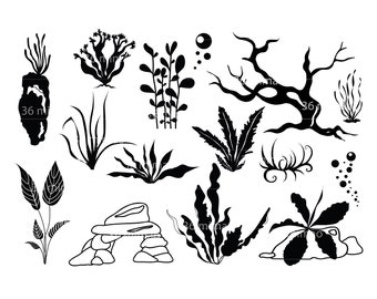 Download Aquarium Svg Etsy