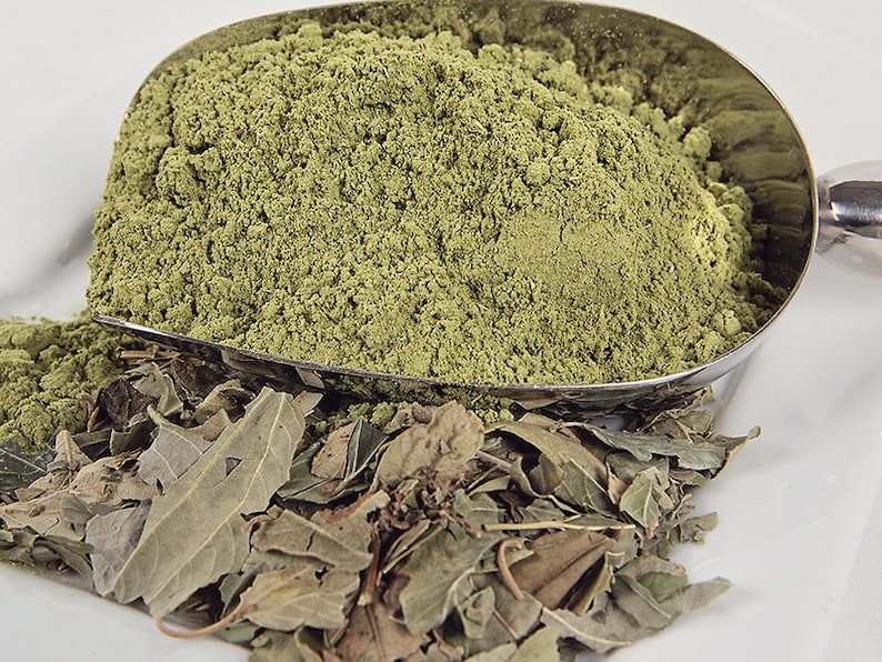 Sidr Leaf Powder Lotus Jujube Ziziphus Leaves Natural Etsy