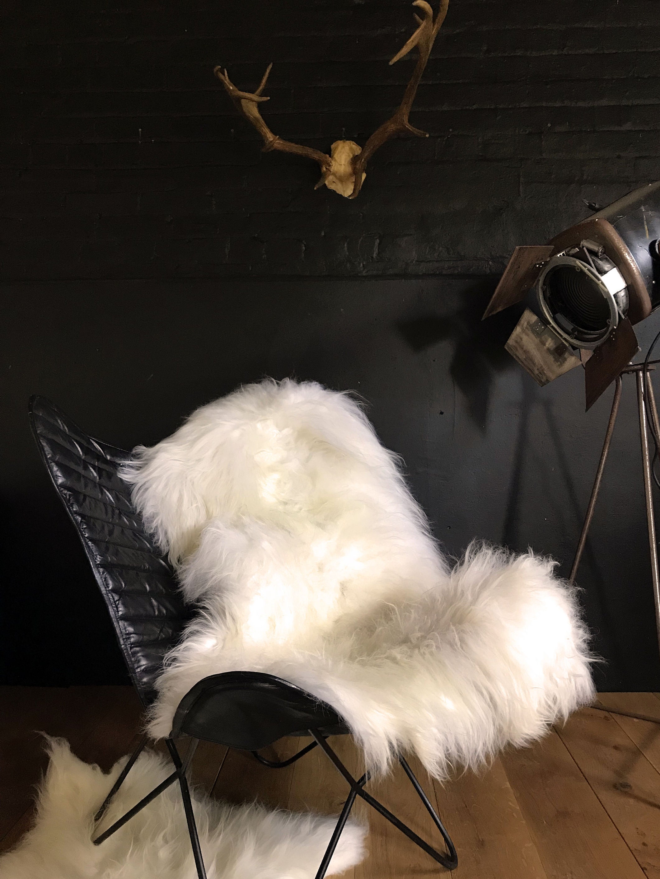 Icelandic Sheepskin Rug Ethical Natural White DOUBLE Etsy