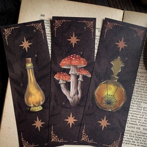 Apothecary Bookmarks Set of 3 | Dark academia bookmarks | Spooky | Recycled | Potion | Goblincore | Gothic | Witchcore | RPG | Fantasy