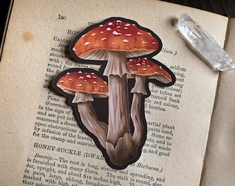 Mushrooms Vinyl Sticker - Autumn Sticker | Halloween sticker | Witch Sticker | Witchy | RPG | Fantasy | Cottagecore | Dark academia Sticker