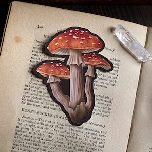 Mushrooms Vinyl Sticker - Autumn Sticker | Halloween sticker | Witch Sticker | Witchy | RPG | Fantasy | Cottagecore | Dark academia Sticker