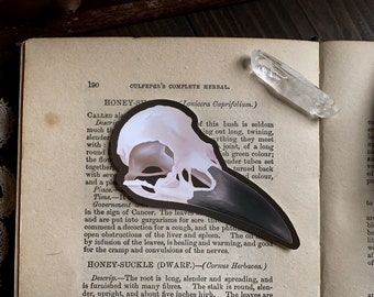 Vinyle Skull d'oiseau - Sticker automne | autocollant Halloween | Sticker sorcière | Sorcière | Gothique | gothique | Cottagecore | Université sombre Sticker