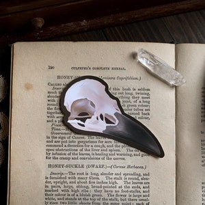 Bird Skull Vinyl Sticker - Autumn Sticker | Halloween sticker | Witch Sticker | Witchy | Gothic | Goth | Cottagecore | Dark academia Sticker