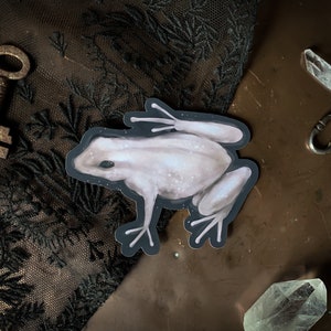 Frog Vinyl Sticker | Dark Fairytale | Gothic | Witch | Knightcore | Witchcore | Dark Academia | Witchy | Fantasy | RPG | Stationery