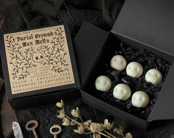 Burial Ground Soy Wax Melts - Gothic Wachs Melts, Geist, Schädel, witchy, gruselig, Räucherstäbchen, Soja, Eco, nachhaltig, dunkel Academia, witchcore