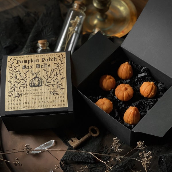 Pumpkin Patch Soy Wax Melts - Gothic wax melts, pumpkin spice, witchy, spooky, halloween, soy, eco, sustainable, dark academia, witchcore