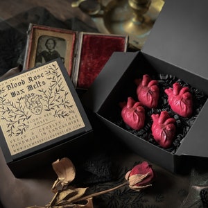 Blood Rose Soy Wachs Melts - Gothic Wachs Melts, anatomisches Herz, Valentines, witchy, gruselig, Halloween, nachhaltig, dark Academia, witchcore