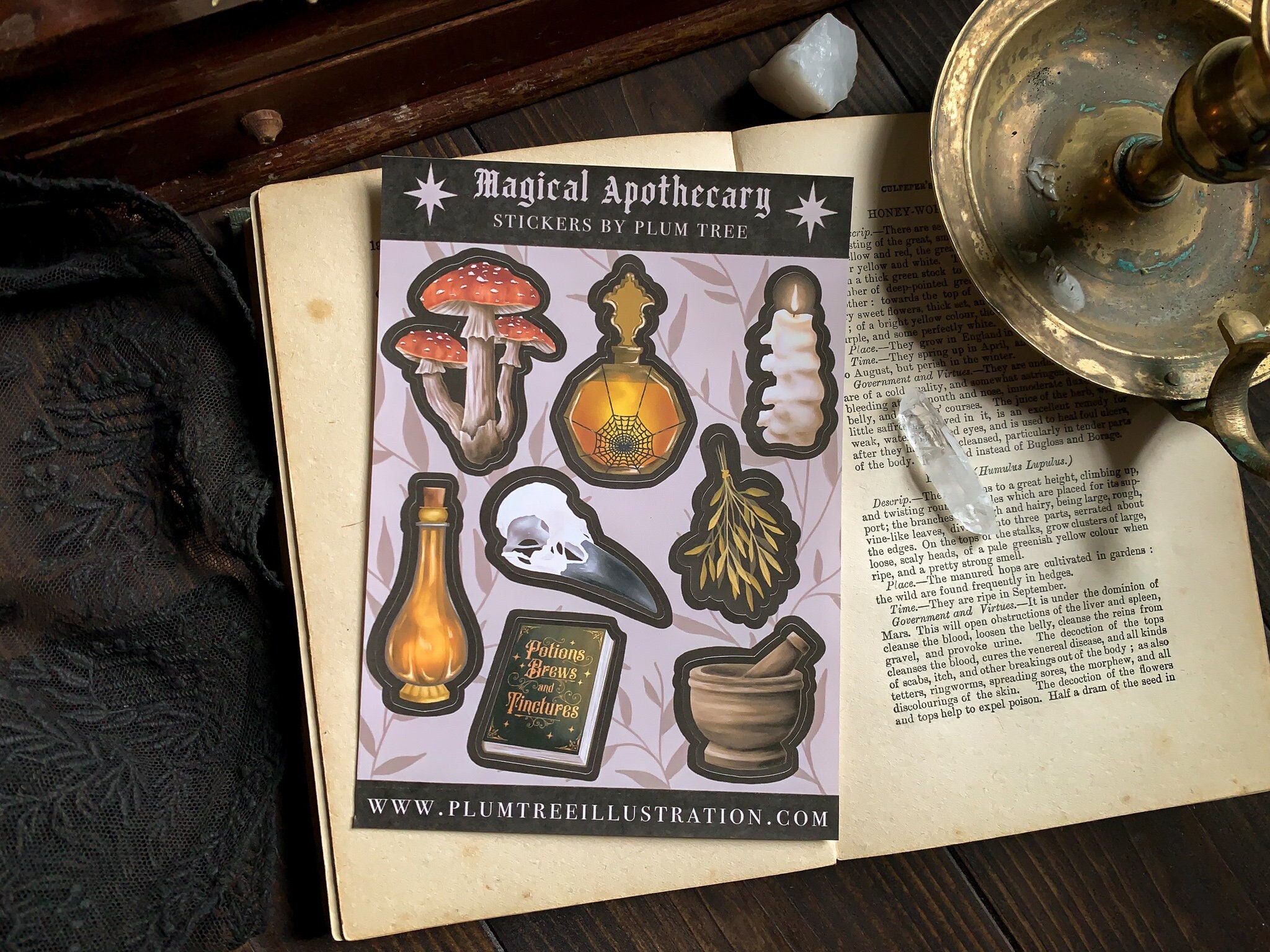 Apothecary Sticker Sheet Dark Academia Stickers Bookish Sticker