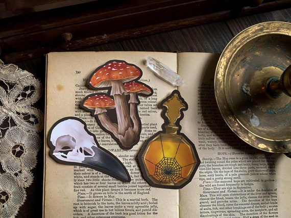 3 Large Apothecary Vinyl Stickers - Witch stickers | Gothic stickers | Witchy stickers | Halloween stickers | Dark academia | RPG | Fantasy