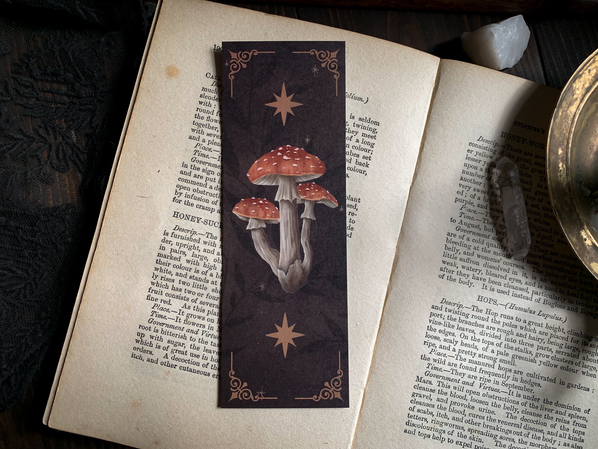 Mushroom Bookmark – ban.do