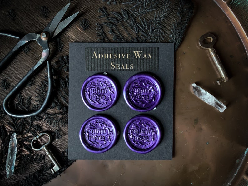 Dark Fairytale Letter Writing Set with Wax Seals Stationery Set RPG Fantasy Writing Paper Dark academia Bookish Goth Gothic image 3