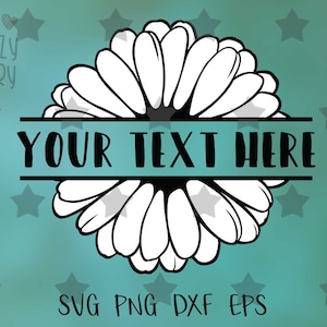 May include: A white daisy flower with a black outline, with a banner across the middle that says "YOUR TEXT HERE". The background is a teal colour with white stars.