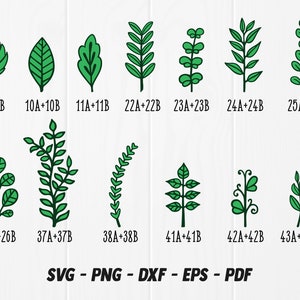 Leaves SVG, Paper Flower Leaves SVG, Leaf SVG, Leaves for Rolled Flowers svg, Leaves svg bundle, Paper leaves svg for Cricut and Silhouette image 6