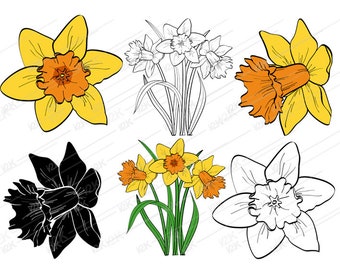 Download Narcissus Svg Etsy