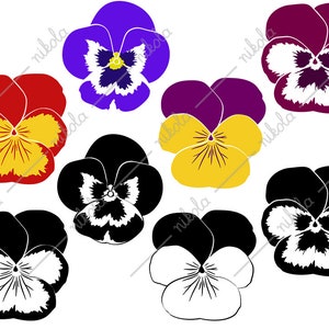 Pansy Clipart, SVG, PNG, EPS, pdf, dxf, Silhouette, for Cricut