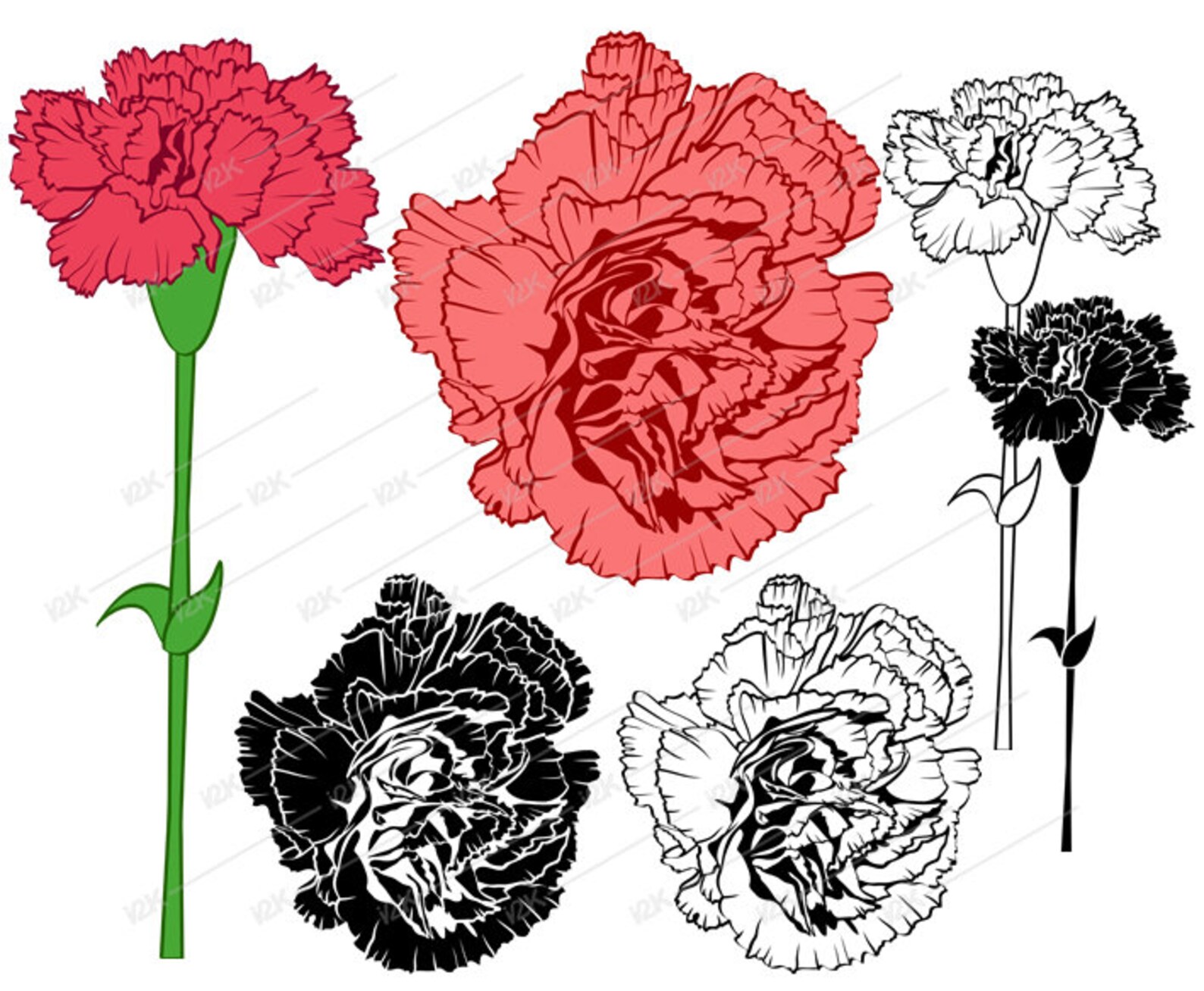 Carnation Clipart SVG PNG EPS pdf dxf Silhouette for | Etsy