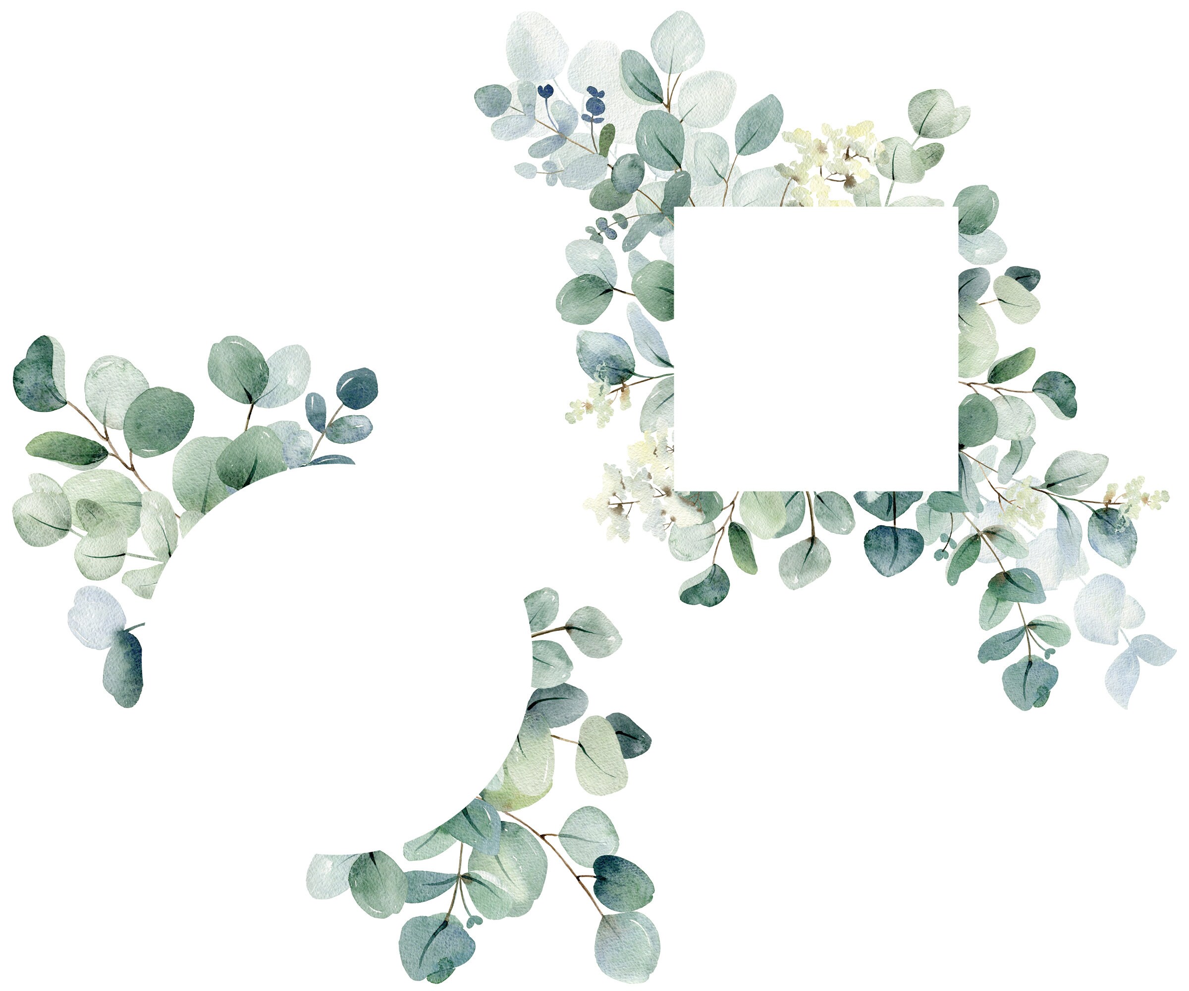 Watercolor greenery frames leaves borders eucalyptus frame Etsy